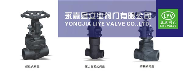 鍛鋼閥門.jpg 鍛鋼閥門.jpg