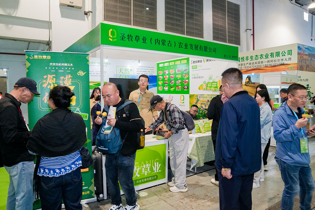 20241019155637-LIU00927-3257244847.jpg 20241019155637-LIU00927-3257244847.jpg