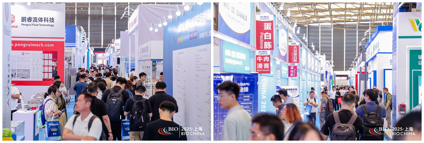 JIAN7937-opq3885582372_副本.jpg JIAN7937-opq3885582372_副本.jpg