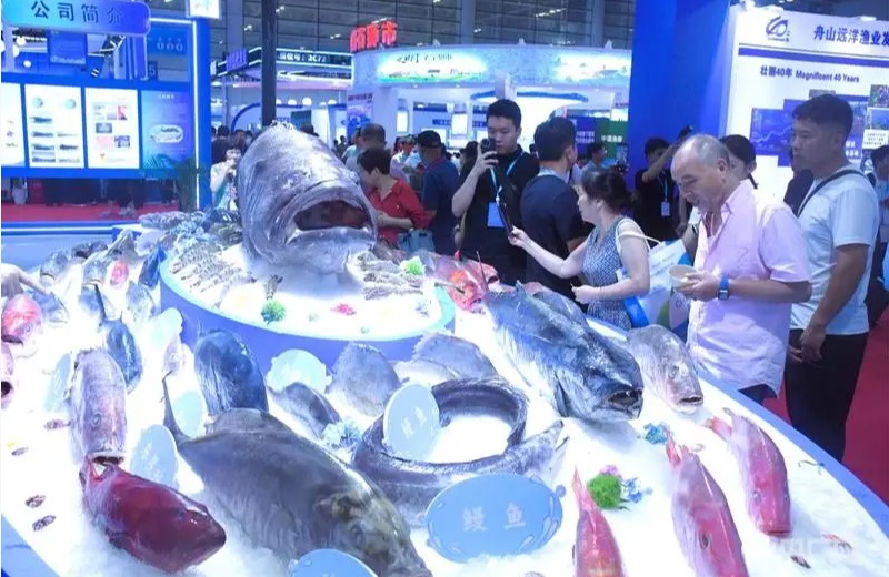 1764335940253 JPG.jpg 1764335940253 JPG.jpg